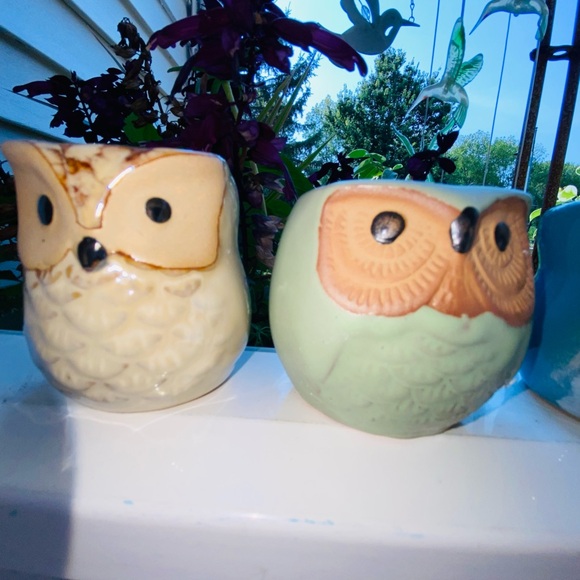 3 Brand New Mini Owl🦉Planters, Great for Mini Live or Faux Succulents or Whatev - Picture 4 of 16